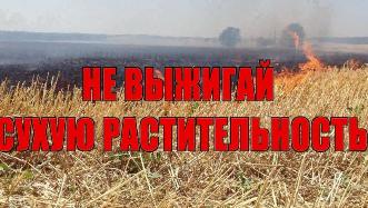 Не выжигай сухую траву