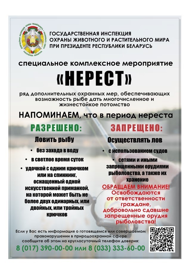 Нерест.jpg Нерест.jpg