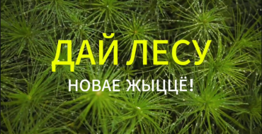 Республиканская акция «Дай лесу новае жыцце»