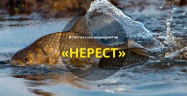 СКМ «Нерест»